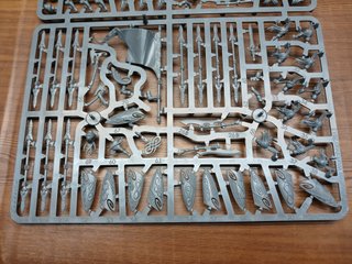 10 Eternal Guard Wood elfs Warhammer The Old World