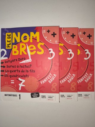 Matemátiques 1, Primer Cicle Primària, Fanfest