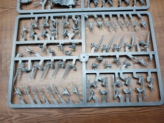 10 State Troops Empire of Man Warhammer Old World