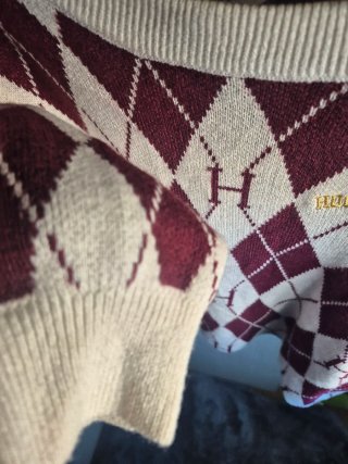 Jersey Harry Potter Argyle