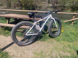 Bicicleta Fat