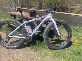 Bicicleta Fat