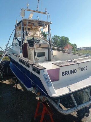 Embarcación Rodman 790 Sport