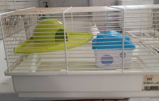 Jaula Hámster con Casa Elevada y Otra Casa