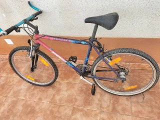 Bicicleta de Montaña Cameron Randonner