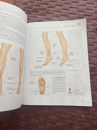 Estética de manos y pies