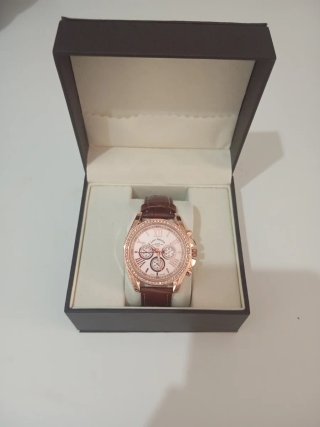 Reloj Louis Valentini Dorado y Marron