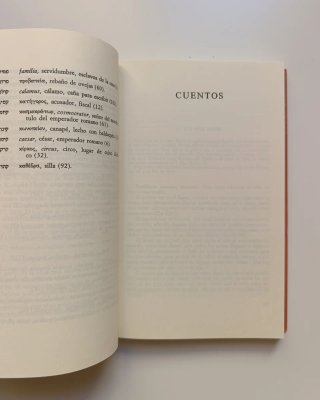 Cuentos de los rabinos.