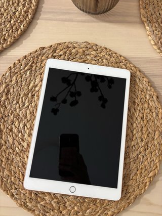 Apple iPad 8ª Gen Wi-Fi Rosa Metalizado
