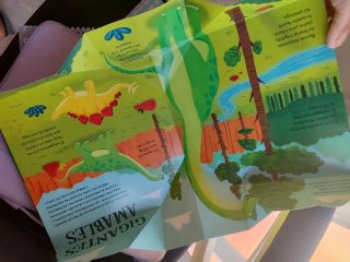 Libro desplegable Dinosaurios