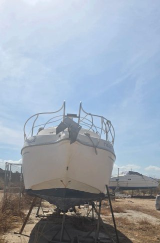 Barco Lema Gold 2