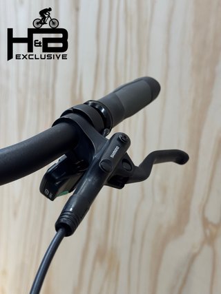 Giant DailyTour E+ 2 LDS Shimano Nexus 2023