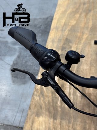 Giant DailyTour E+ 2 LDS Shimano Nexus 2023