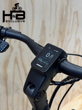 Giant DailyTour E+ 2 LDS Shimano Nexus 2023