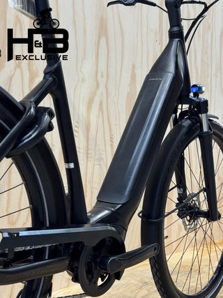 Giant DailyTour E+ 2 LDS Shimano Nexus 2023