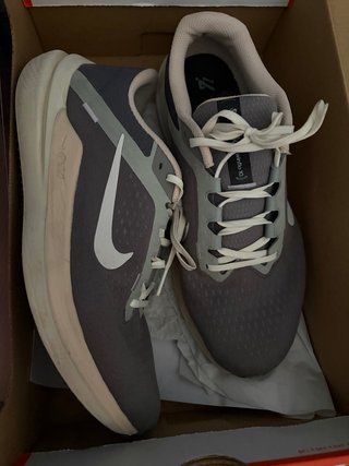 Zapatillas Nike Winflo 10 Running
