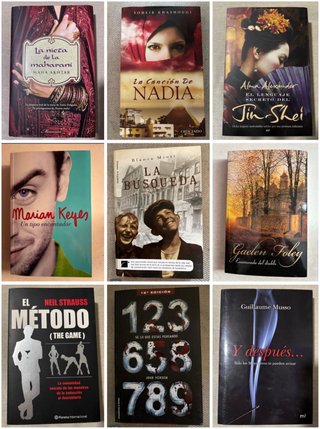 Novela histórica, romántica y thriller (unidad)