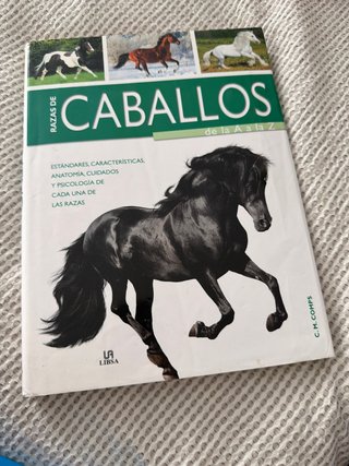 Razas de caballos de la a A la Z