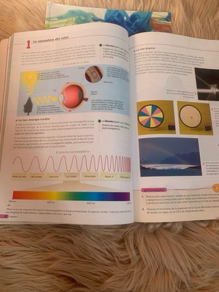 Educación plástica, visual y audiovisual 1 ESO