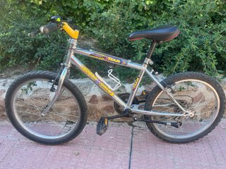 Bicicleta infantil TEAM