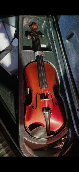 Violín 4/4 Gliga Gems II