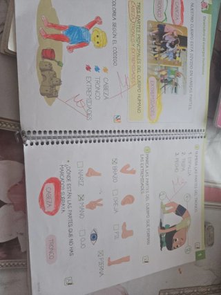 Ciencias de la naturaleza. 1 Primaria. Matices