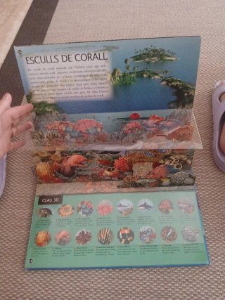 Oceans