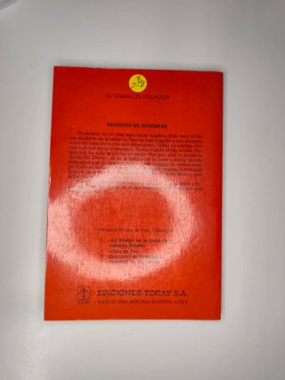 Secretos de diciembre | Patricia Reilly Giff