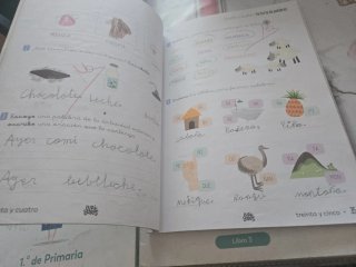 Ludiletras 1°Primaria