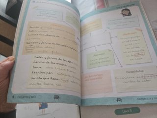 Ludiletras 1°Primaria
