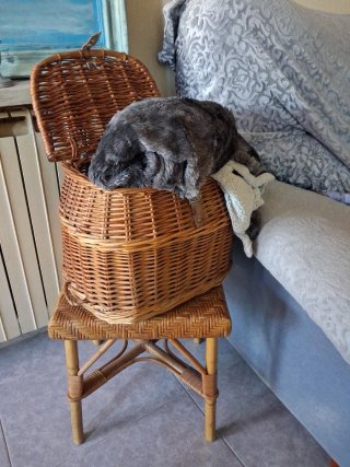 Cesta de Mimbre con Tapa
