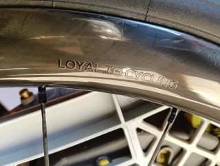 Ruedas Elitewheels DRIVE G36 / SRAM XDR
