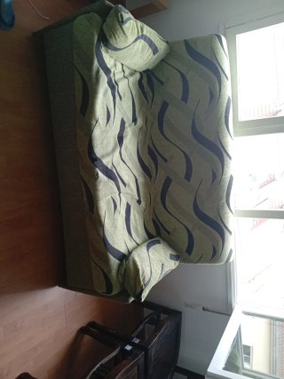 Sofá Cama verde con Estampado negro