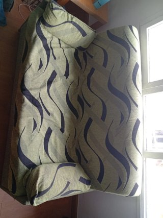 Sofá Cama verde con Estampado negro