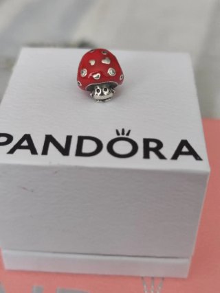 Charm Seta Amanita