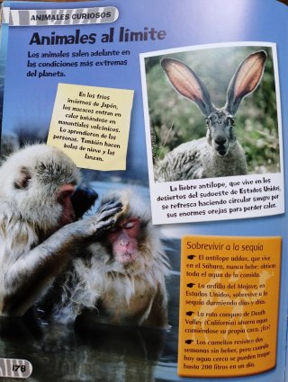 Libro didáctico "Nada Mas Que Hechos"