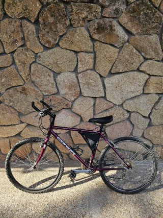 Bicicleta Conor