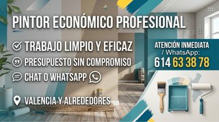 Pintor Profesional y Económico Valencia