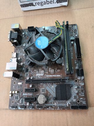 placa base MSI H310M PRO+ PENTIUM GOLD G500+ 4 RAM