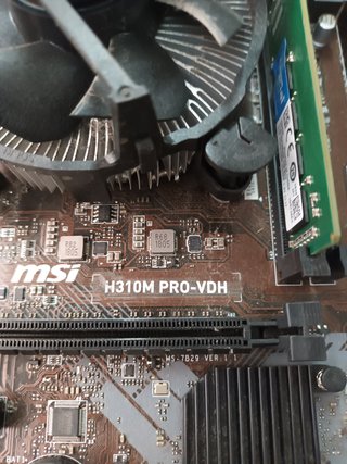 placa base MSI H310M PRO+ PENTIUM GOLD G500+ 4 RAM