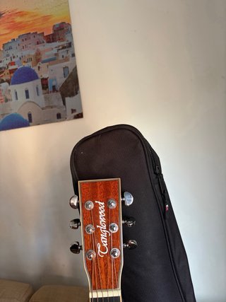 Guitarra Acústica Eastwood