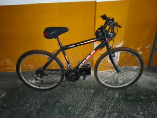 Bicicleta de Montaña JRWheele