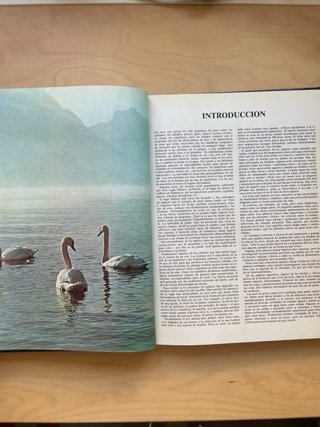 El Fabuloso mundo de las aves vida y costumbres