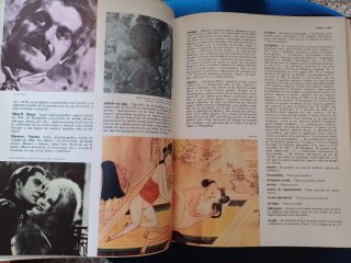 ENCICLOPEDIA DEL EROTISMO 4 TOMOS. ENCICLOPEDIA DE