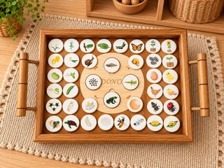 Jogo de Associação Ciclos da Vida - Montessori