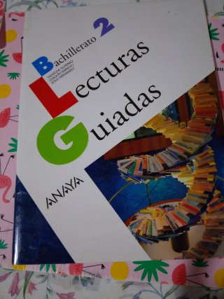 Lengua castellana y literatura 2o de bachillerato