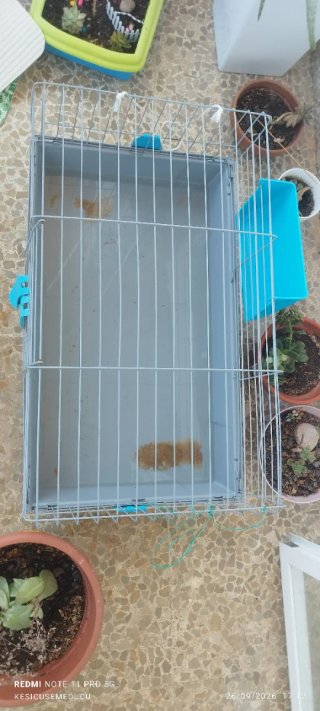 Jaula grande para conejo