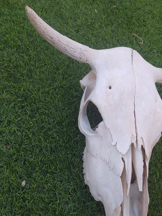 Artículo para decoración