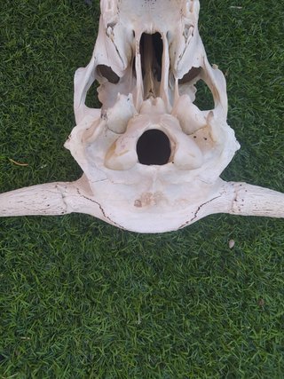 Artículo para decoración