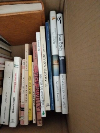 Libros variados y poesia
